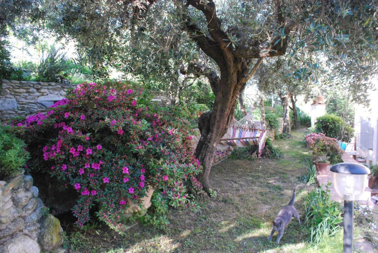 Casa Anna A Pietrasanta In Toscana Con Piscina ภายนอก รูปภาพ